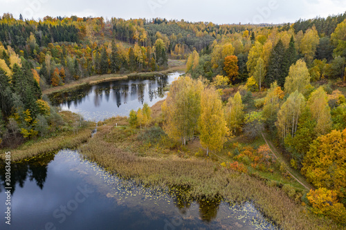 Fototapeta Naklejka Na Ścianę i Meble -  Forest in autumn colors. Colored trees and a meandering blue river. Red, yellow, orange, green deciduous trees in fall. Paganamaa, Estonia, Europe