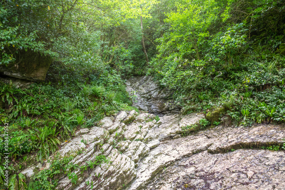 Rock from layered limestone in a green forest. Rock from layered limestone in a green forest.