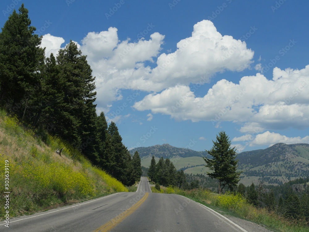 Naklejka premium Wide shot of a paved road along roling hills and beautiful clouds in the skies at Yellowstone National Park, Wyoming.