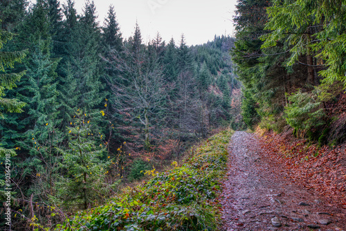 hiking trail in the mountains in autumn morning