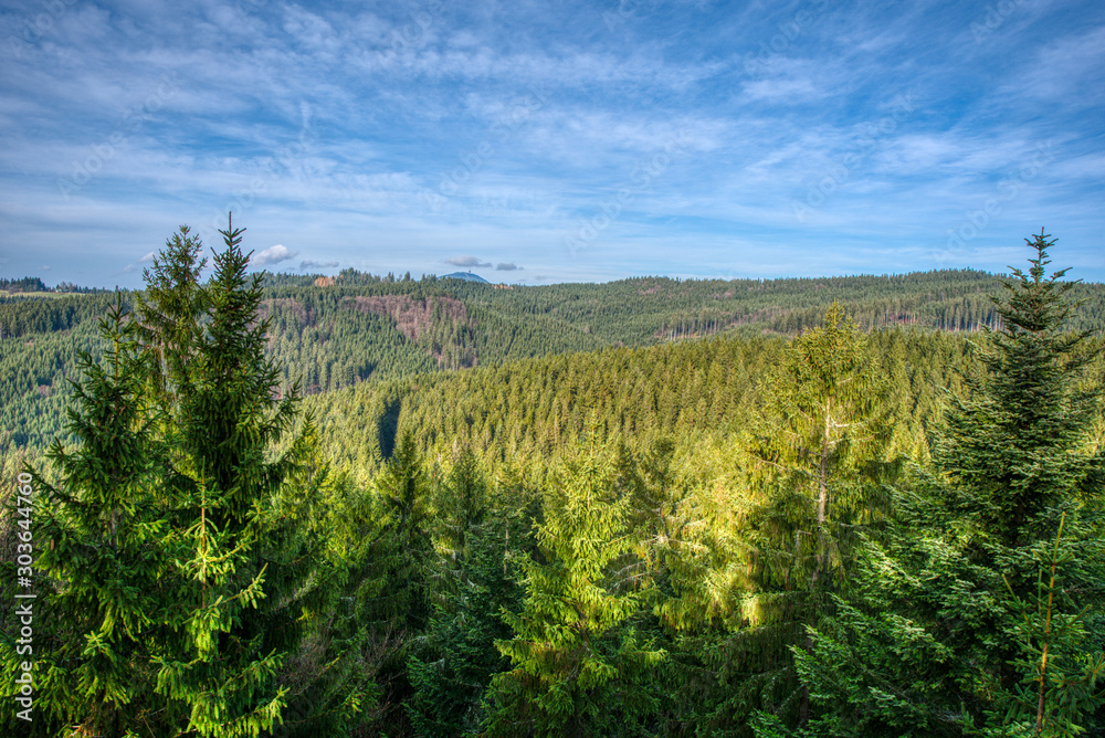 Beautiful look on spruce mountains and hills in Europe Beautiful look on spruce mountains and hills in Europe