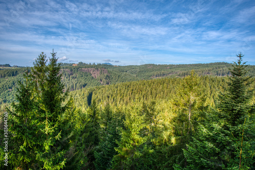 Beautiful look on spruce mountains and hills in Europe