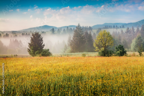 Colorful summer scene of foggy Carpathian mountains. Splendid morning view of Borzhava range  Transcarpathian  Ukraine  Europe. Beauty of nature concept background..