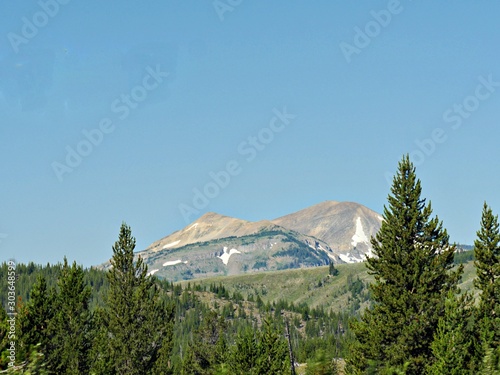 Upward shot of pine trees  with distant mountains partially covered with snow at Yellowstone National Park.
