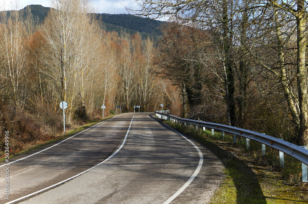 Obraz premium road in autumn