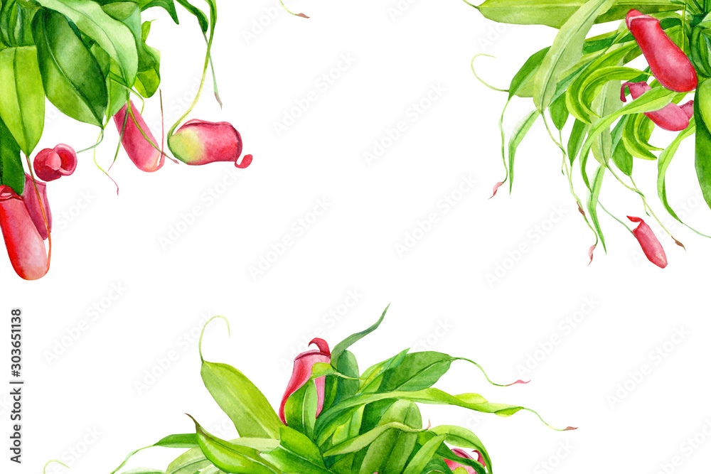Φωτογραφία watercolor illustration, greeting card with place for text, hybrid plant of nepe