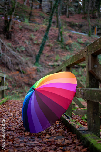 My unique collection for the colorful umbrella in the fascinating Mullerthal trail in Luxembourg  Europe. Dramatic and romantic looking scenes