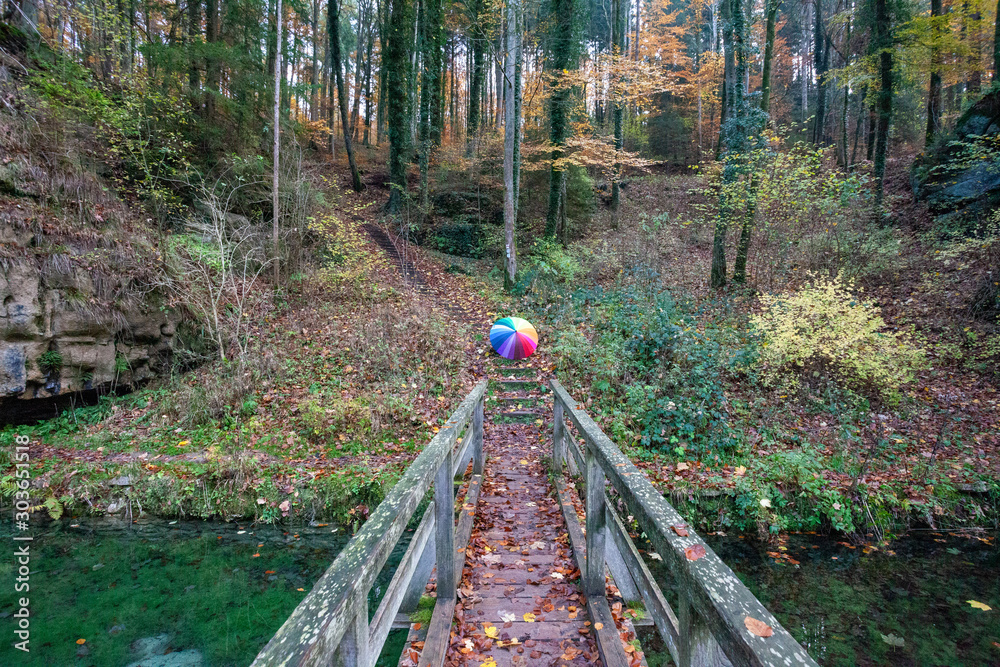 Φωτογραφία My unique collection for the colorful umbrella in the fascinating Mullerthal trail in Luxembourg, Europe