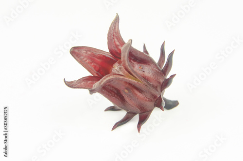 Roselle, Jamaican Sorelor or Hibiscus sabdariffa isolated on white background with clipping path.