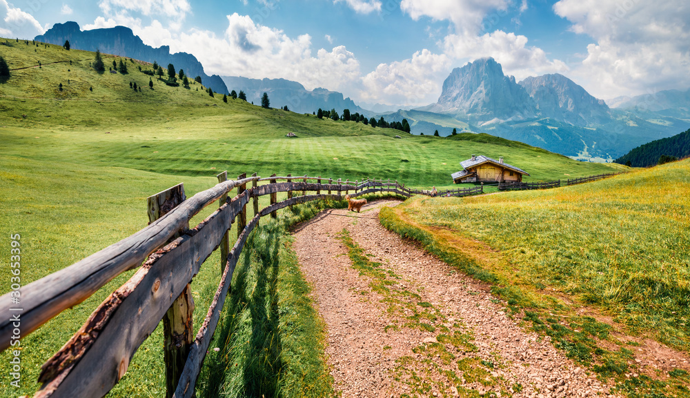 Stunning summer view of Sassolungo (Langkofel) range in National Park Dolomites, South Tyrol, Italy, Europe. Sunny morning scene of Gardena valley with old country road, Dolomite Alps.