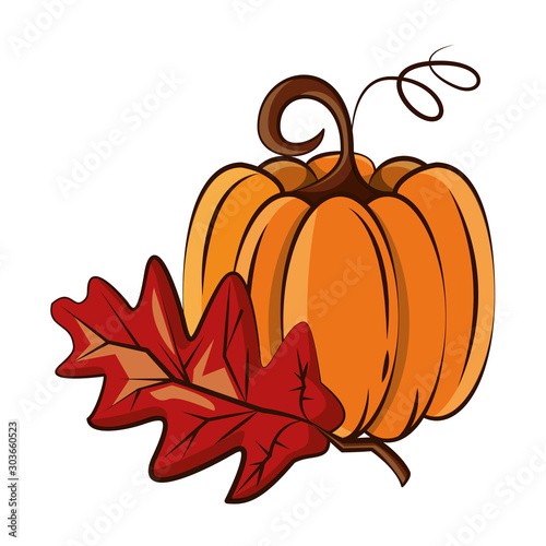 thanksgiving pumpkin with leaf autumn