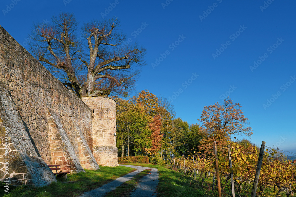 Outer wall of medieval fortress called 'Burg Steinsberg' in German city Sinsheim with foodpath leading around it and grapevines on side