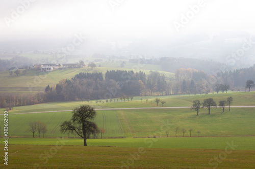 Landschaft mit Bäumen Wiesen und Nebel in Euratsfeld