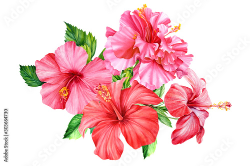 Bouquet tropical flower  hibiscus on an isolated background  watercolor botanical illustration.