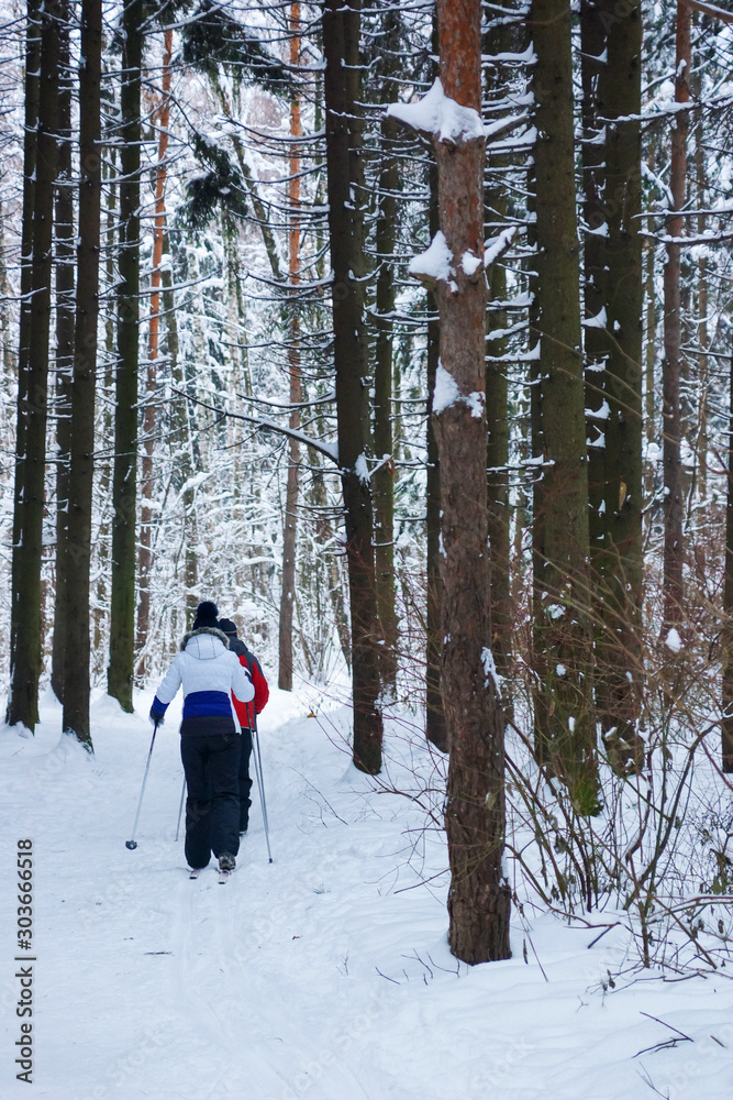 a man and a woman after each other running on skis in a pine forest