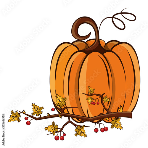 thanksgiving pumpkin with branch and leafs