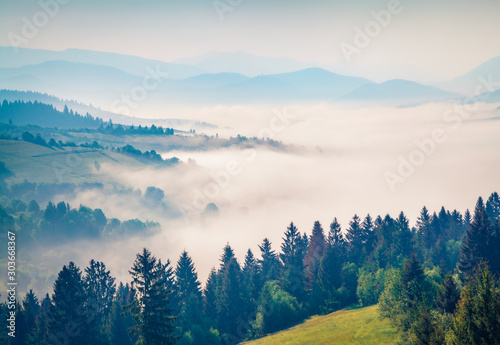 Misty summer view of Carpathian mountains. Gorgeous morning scene of Borzhava mountain ridge, Transcarpathian, Ukraine, Europe. Beauty of nature concept background. photo