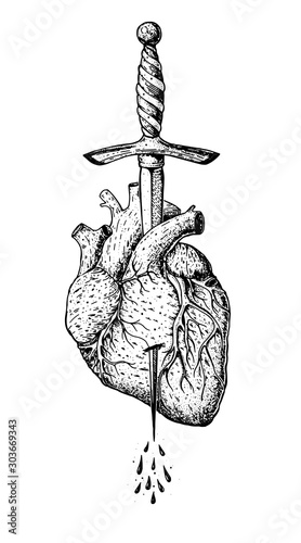 The human heart is pierced with a dagger. Hand drawn vector illustration. Realistic sketch. Engraved style. Tattoo print.