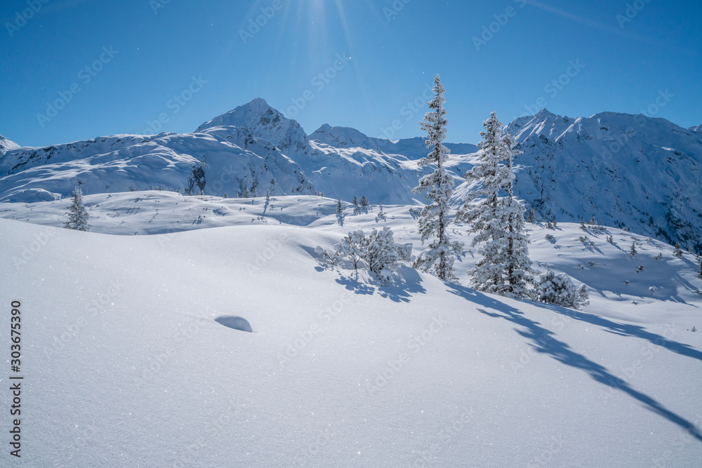 Fototapeta Verschneite Winterlandschaft