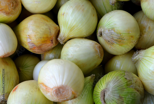 A pile of bulb onions fresh from the farm. Background