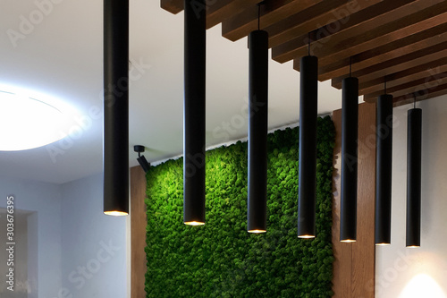 green moss wall in a modern interior