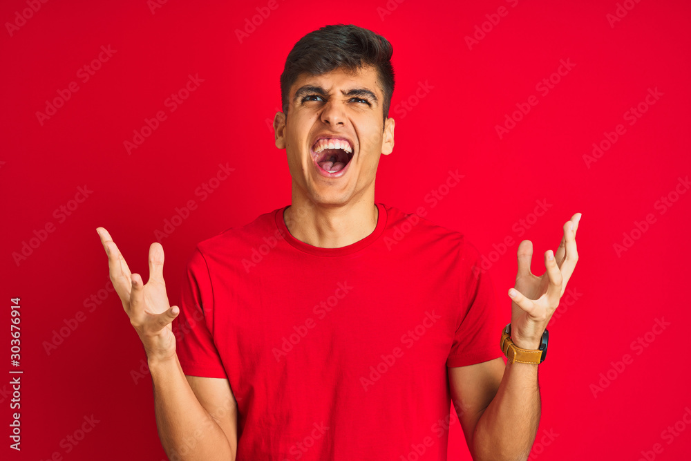 Φωτογραφία Young indian man wearing t-shirt standing over isolated red background crazy and mad shouting and yelling with aggressive expression and arms raised