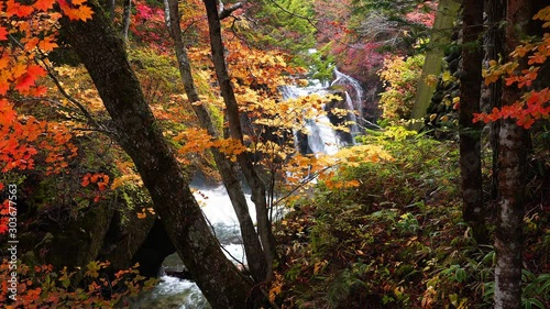 Beautiful vivid color foliage in autumn season at Ryuzu Waterfalls in Nikko, Tochigi Prefecture, Japan. photo