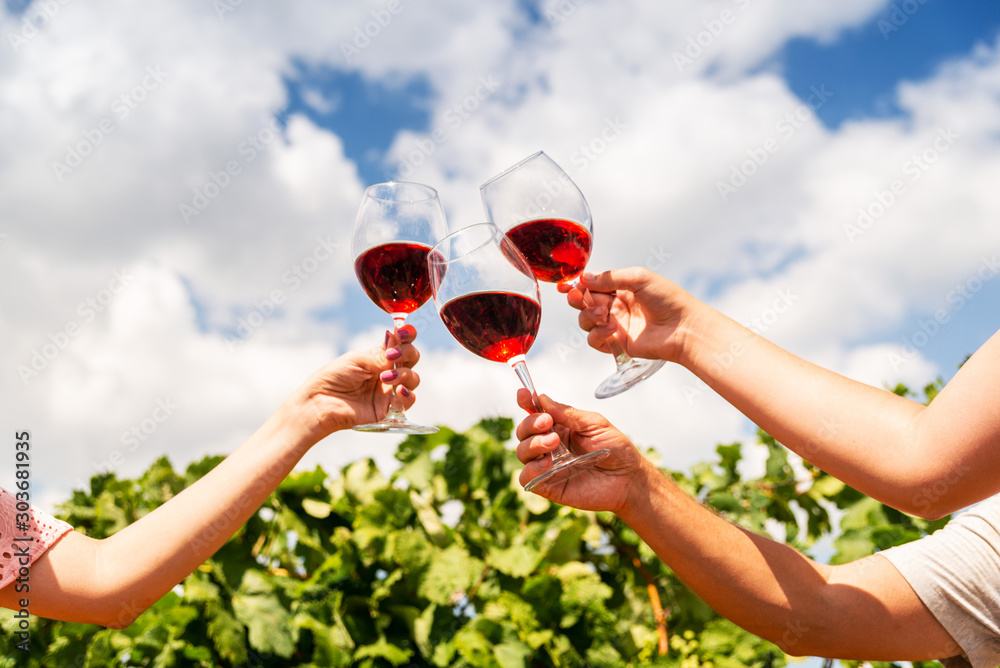 Ταπετσαρία Three large glasses of red wine in the vineyard