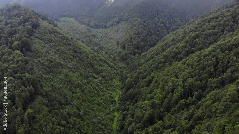 Aerial drone view over mountains and forest in Romania during summer Aerial drone view over mountains and forest in Romania during summer