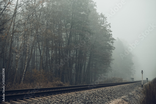 Railway in the forest in the fog