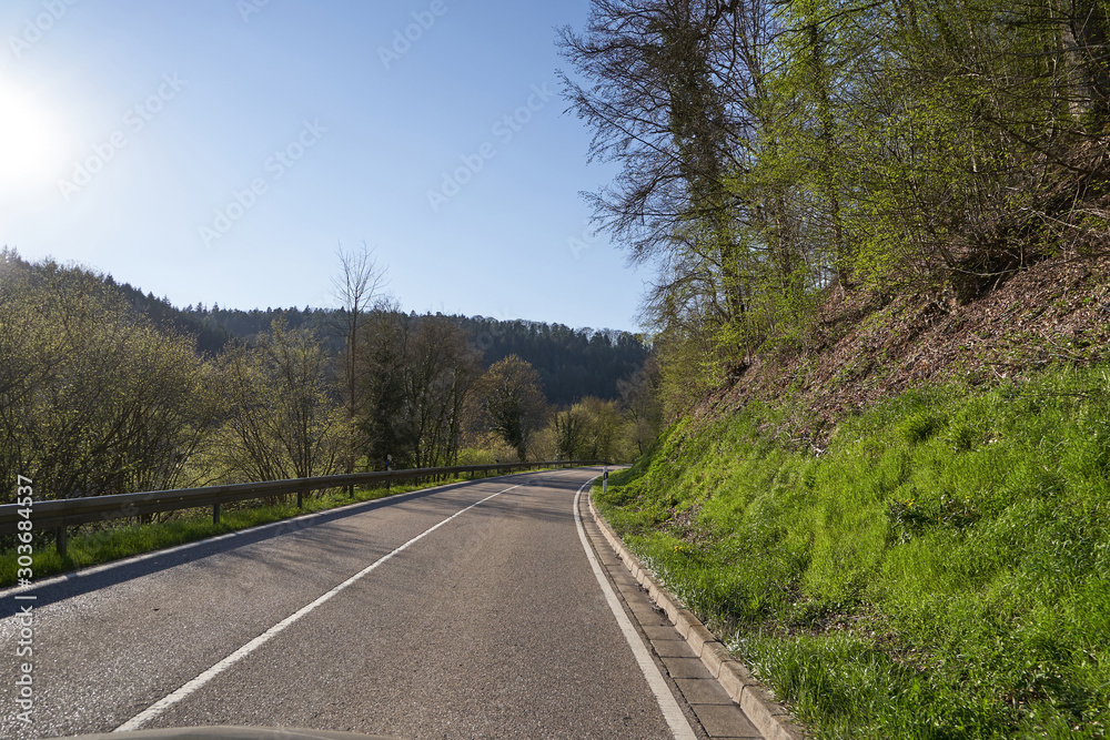 Fototapeta premium Beautiful spring landscape with a road between trees, sunny day and blue sky in the German forest Schwarzwa
