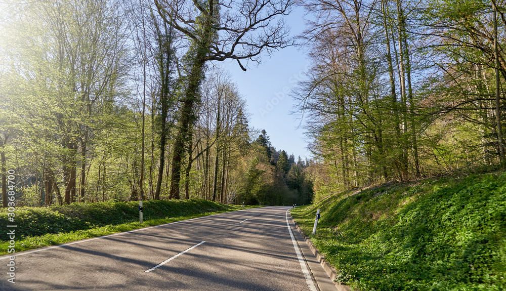 Beautiful spring landscape with a road between the trees, the sun and the blue sky in the German forest Schwarzwald Beautiful spring landscape with a road between the trees, the sun and the blue sky in the German forest Schwarzwald