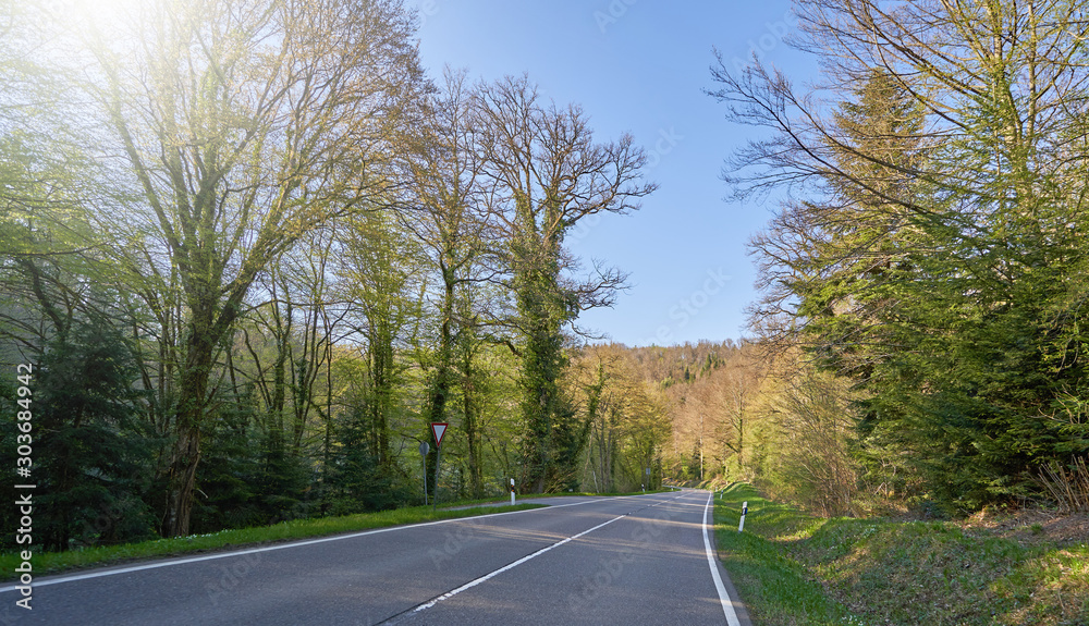 Beautiful spring landscape with a road between the trees, the sun and the blue sky in the German forest Schwarzwald