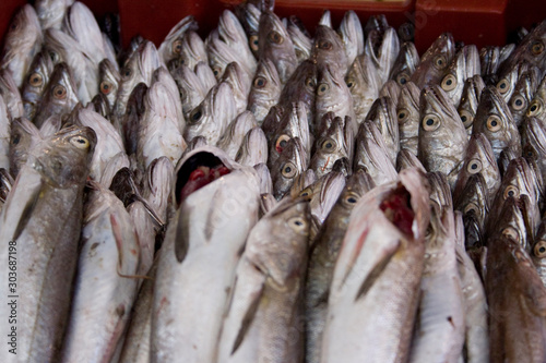 Fish market in Tunisia