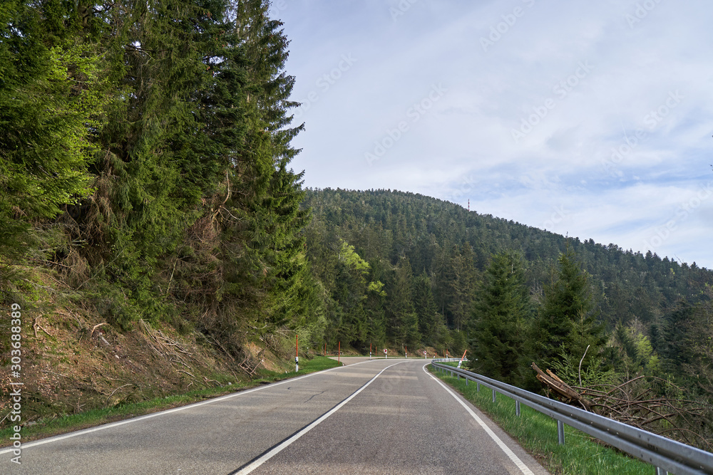 Beautiful asphalt road with turns through the coniferous forest of the Schwarzwald in Germany