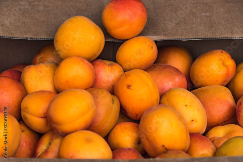fresh apricots in the market
