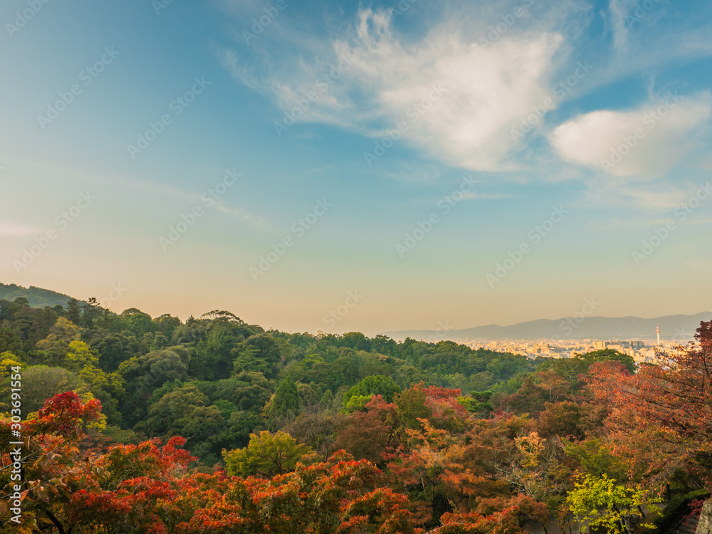 秋の紅葉景色_04