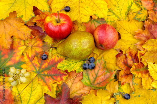 Autumn leaves and fruits in the background.