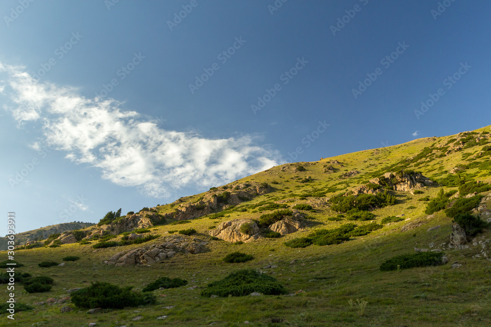 Alpine meadows, mountain landscape in Kyrgyzstan