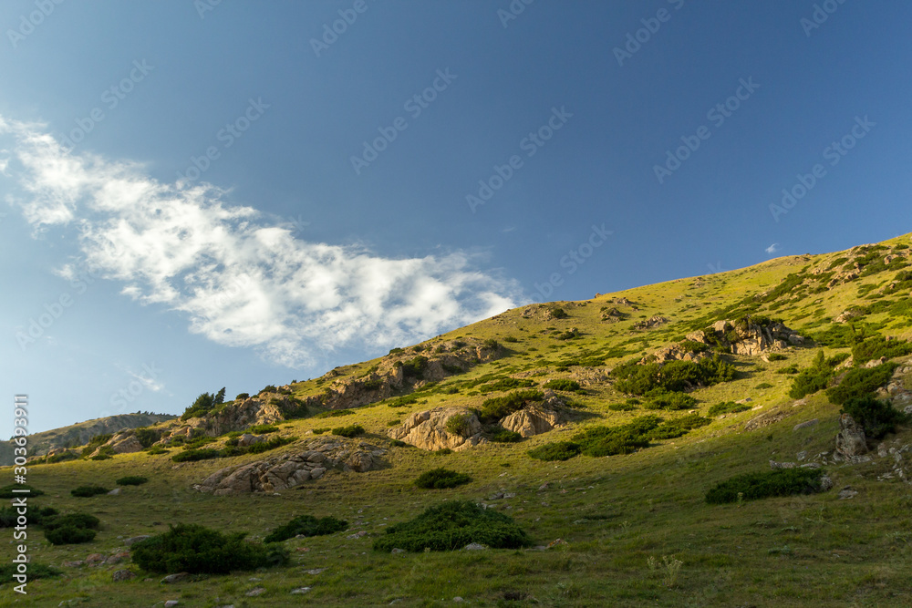 Alpine meadows, mountain landscape in Kyrgyzstan Alpine meadows, mountain landscape in Kyrgyzstan