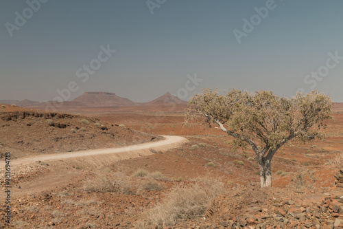 Desert landscape in the palmwag region, Damaraland, Namibia, Africa photo