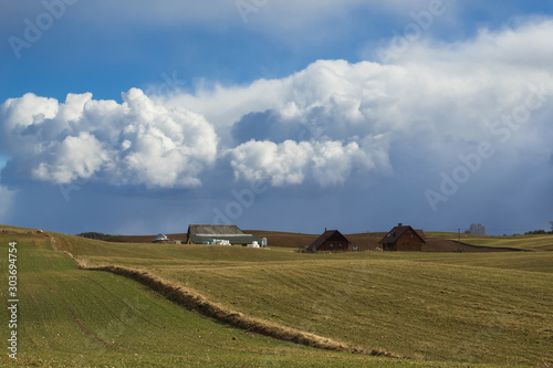 green fields in spring, cumulus clouds © vadimborkin