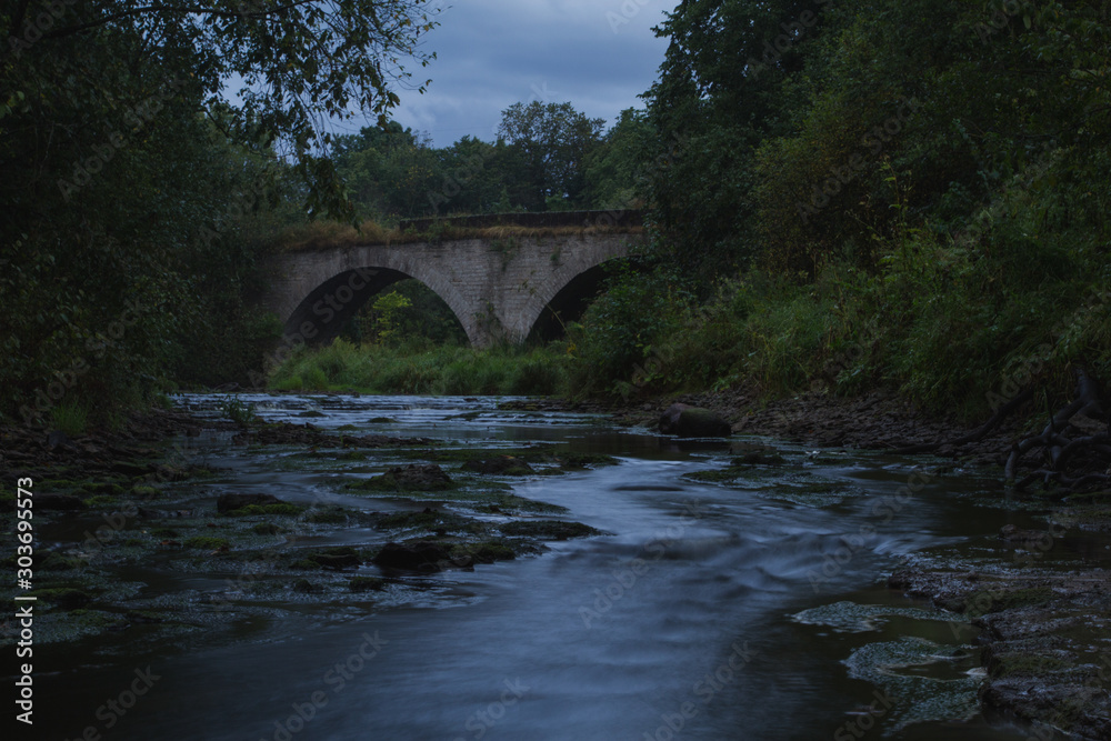medieval bridge over the river, tree branches medieval bridge over the river, tree branches