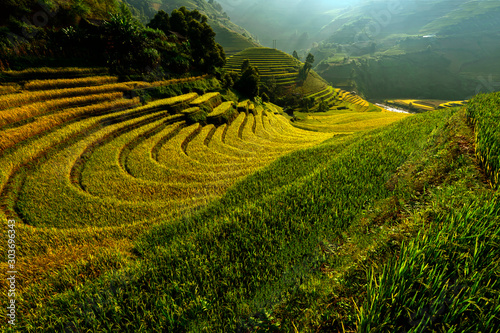 Bright morning of rice terraces in Mu cang chai,Yenbai,Vietnam.