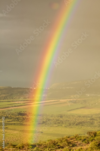 ile del a réunion arc en ciel plein flore vert lumière