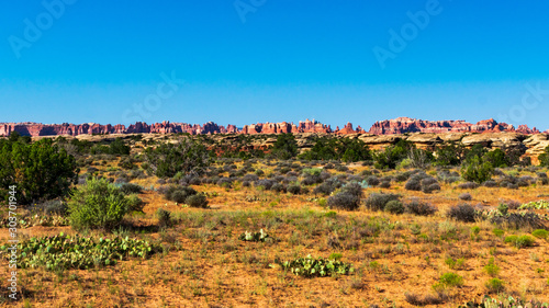 Canyonlands National Park, Needles District, Utah