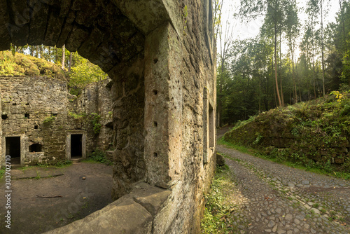 Fototapeta Naklejka Na Ścianę i Meble -  ruins of a medieval mill in the czech republic