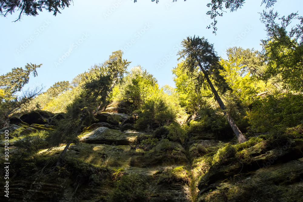 canyon river canyon in the forest of the czech republic canyon river canyon in the forest of the czech republic