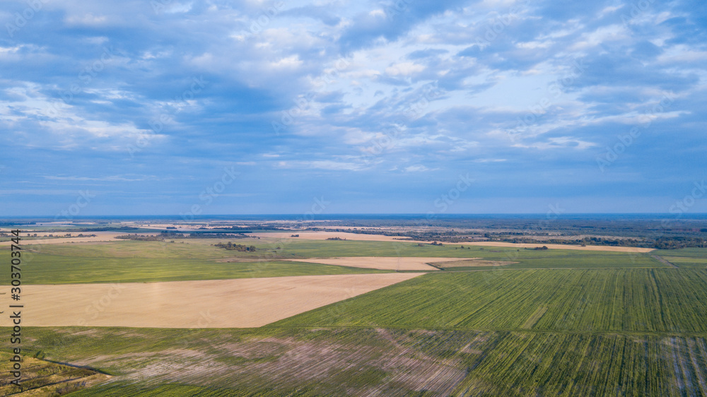 aerial view of autumn harvest field and blue sky. Texture view.