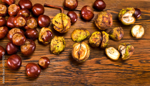 Chestnut fruits on a wet wooden table. Autumn background. Text space.